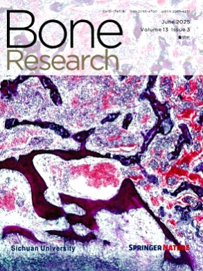 Bone Research杂志